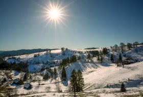 Phoca Thumb M Winter Im Schwarzwald 2306 2023 1400px